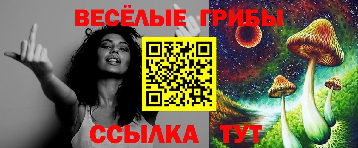 Строитель  Галлюциногенные грибы GOLDEN TEACHER  Вход с VPN 