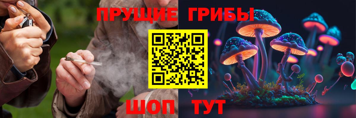 Псилоцибиновые грибы MAGIC MUSHROOMS Строитель