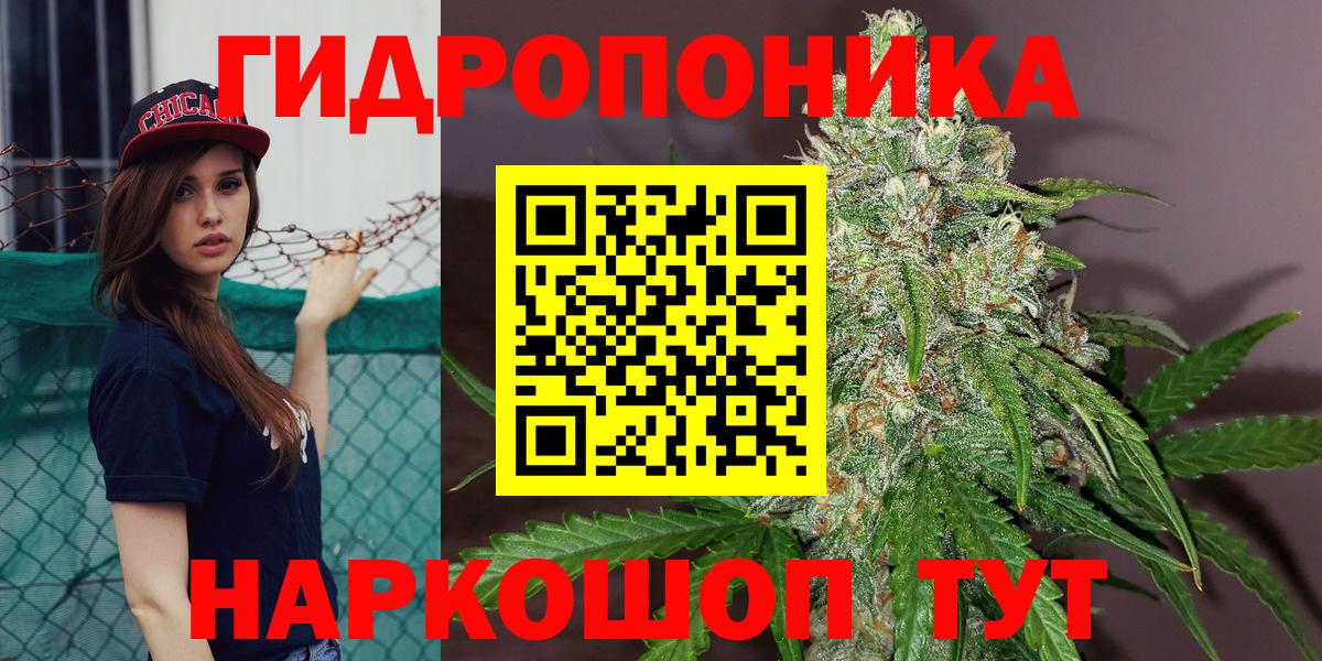 Конопля сатива  Шишки марихуана OG Kush  Вход с VPN  Бошки Шишки Ganja  Строитель 